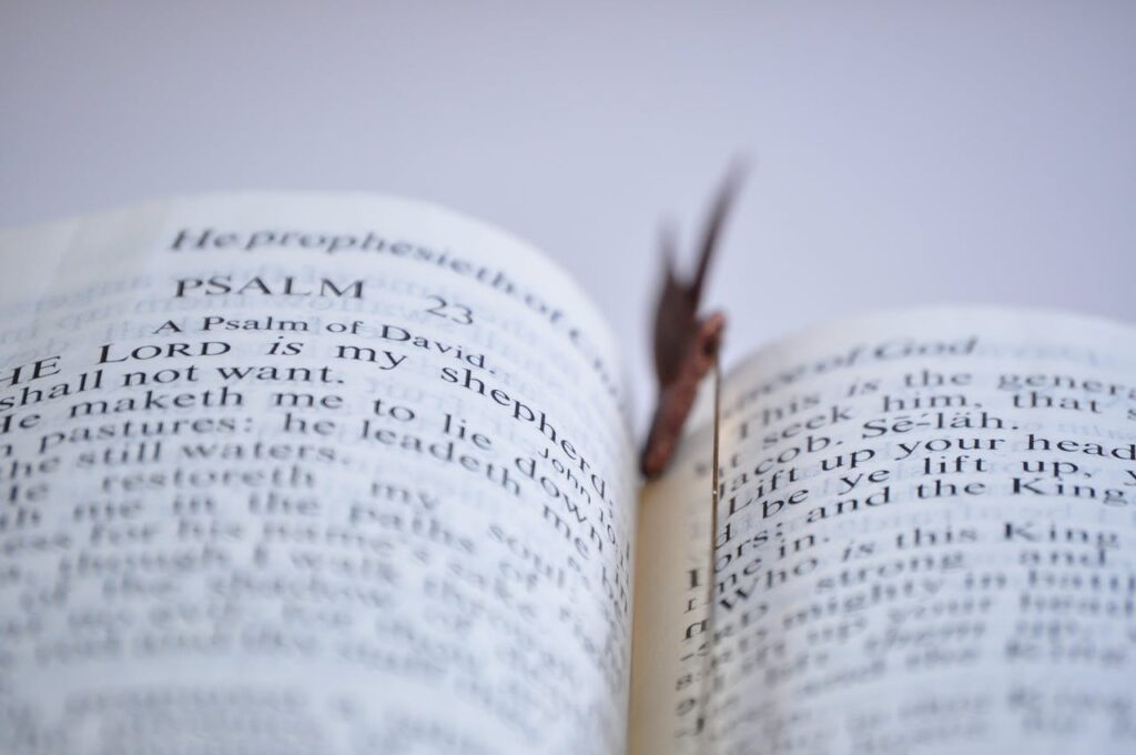 Brown Stick on White Book Page